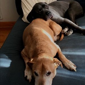 Meet your Posher, Rebecca